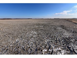 Property photo 27 - MAJOR, HIGH QUALITY LAND AUCTION - 346+/- ACRES OFFERED IN 8 TRACTS IN JACKSON COUNTY, INDIANA